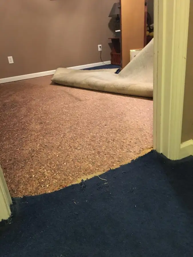 Carpet pad removal revealing water damage during Drying & Dehumidification in Solebury