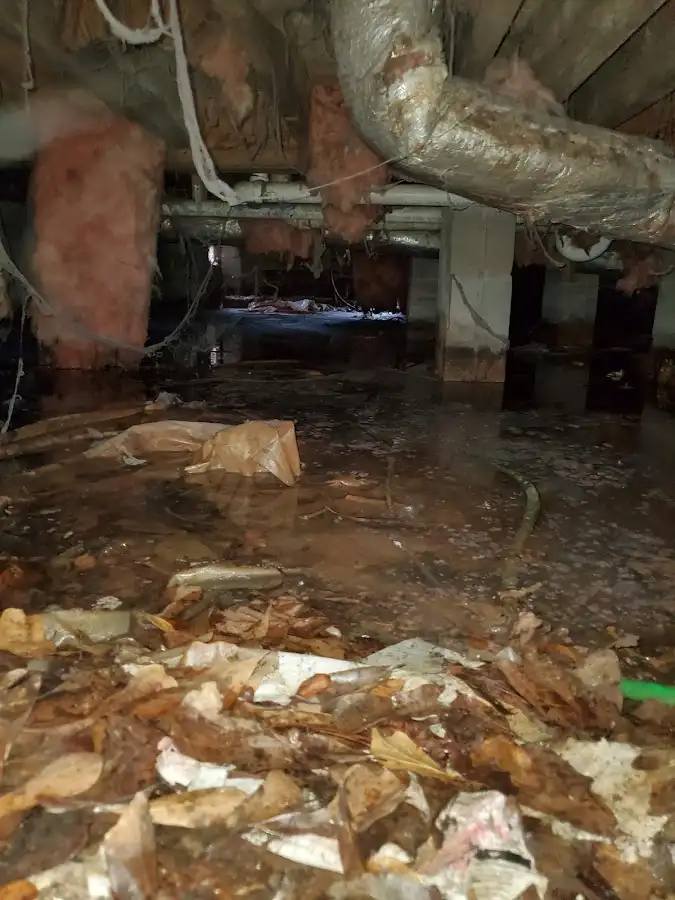Crawl space flood assessment for Leak Detection & Repair in Solebury